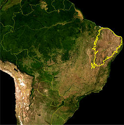 Caatinga, Bioma Exclusivamente Brasileiro #Caatinga, Bioma Exclusivamente Brasileiro