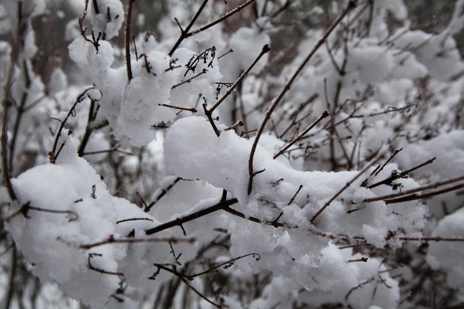 curving back wads of snow cotton