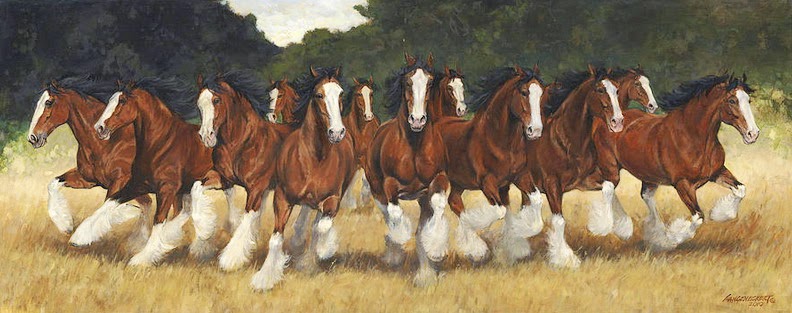 pinturas-y-fotos-de-caballos-salvajes