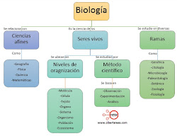 mapa conceptual de biología 1º EM
