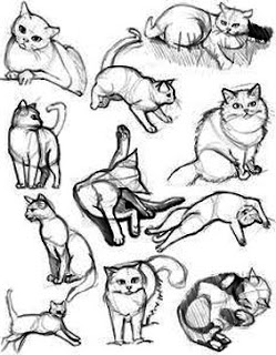 Teknik Mudah Menggambar Variasi Gerakan Kucing Lucu