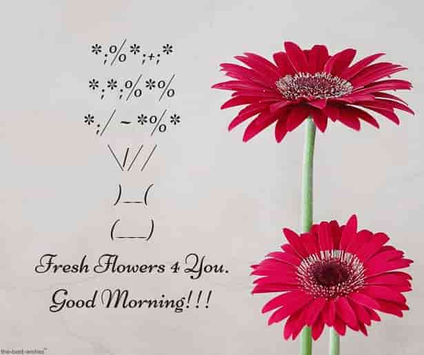 Romantic morning sms