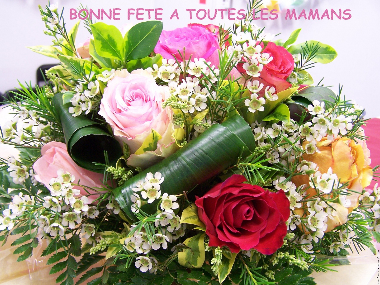 Le Petit Monde de Véro Bonne fête à toutes les mamans