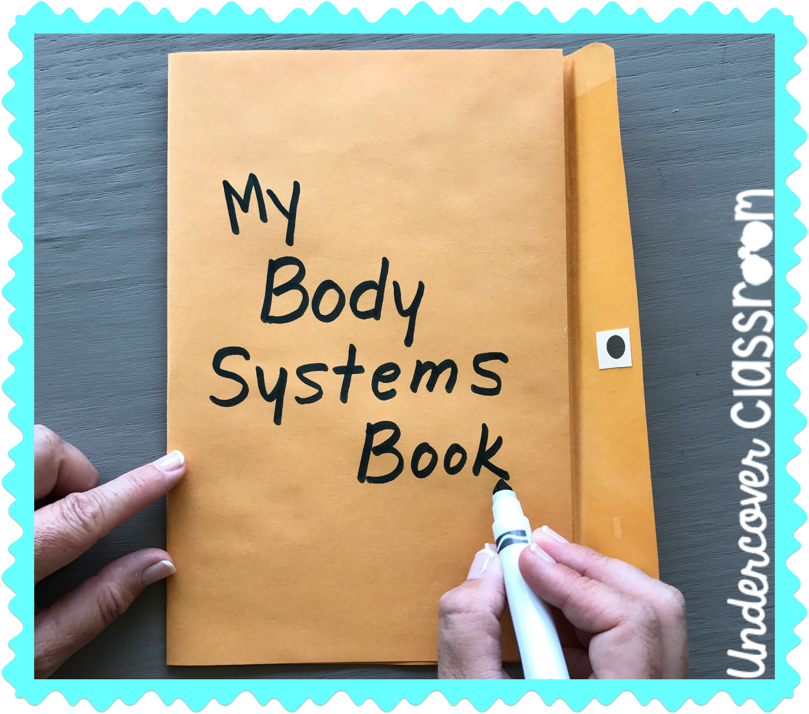 Easy Fold Envelope Books Undercover Classroom