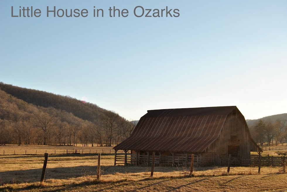 Little House in the Ozarks