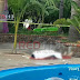 Muere joven ahogado en un balneario de Huandacareo