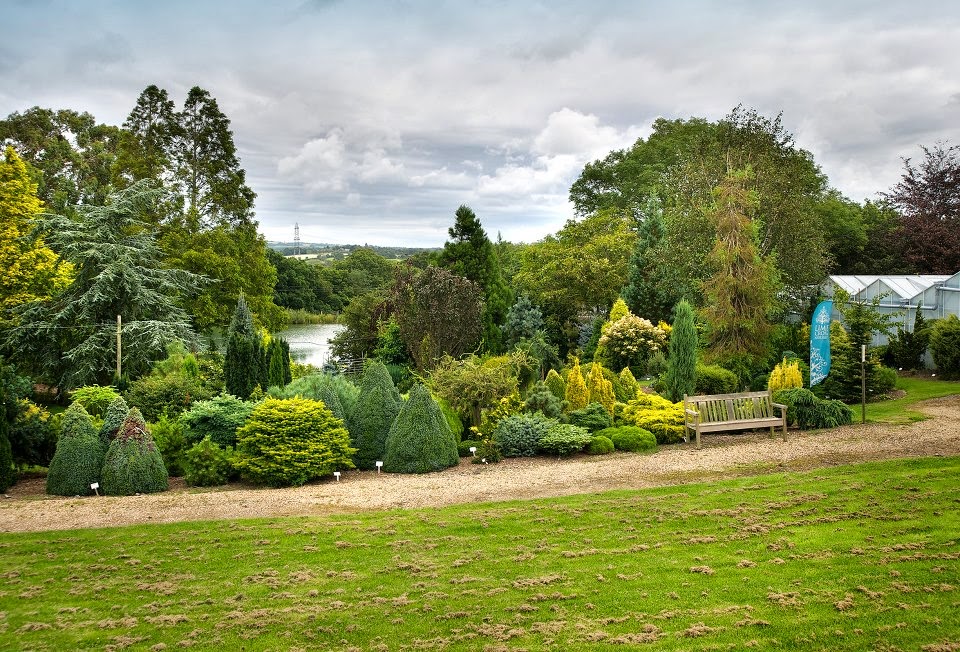 Lime Cross Nursery National Garden Scheme Herstmonceux Parish Trail