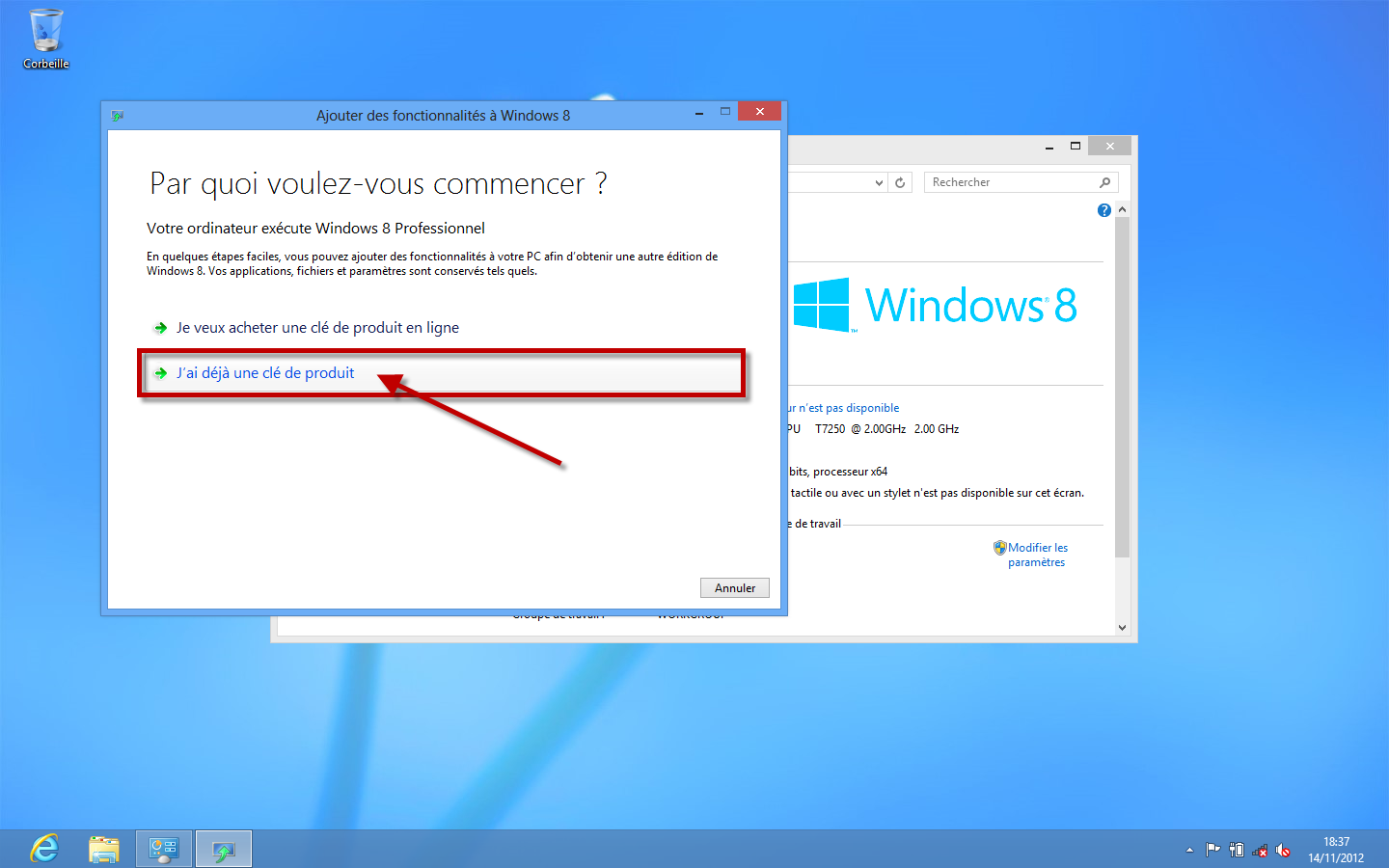 Windows Windows