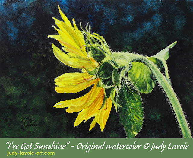 I've Got Sunshine watercolor on scratchboard by Judy Lavoie