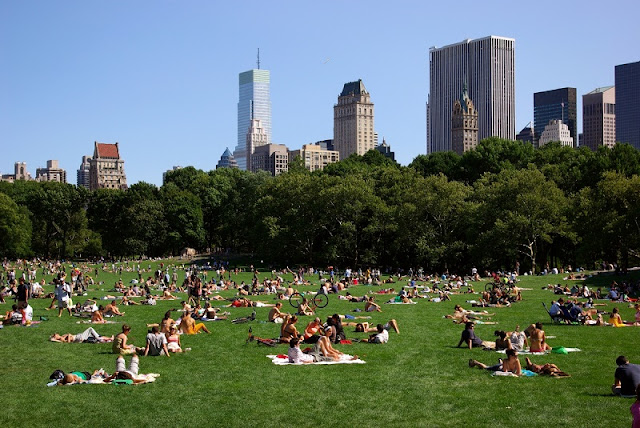 Quais passeios fazer na viagem a Nova York Quais passeios fazer na viagem a Nova York