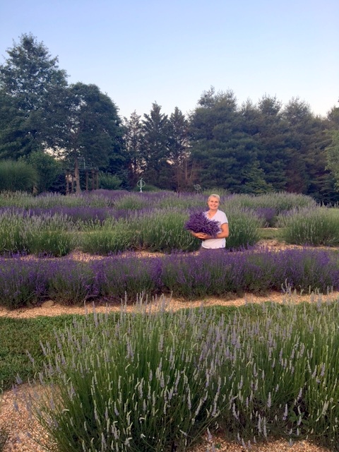 Blooming Hill Lavender Farm