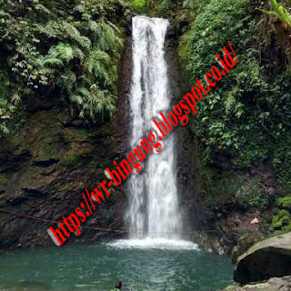 VILLA / CAMP GROUND GUNUNG BUNDER BOGOR | Villa Gunung Bunder