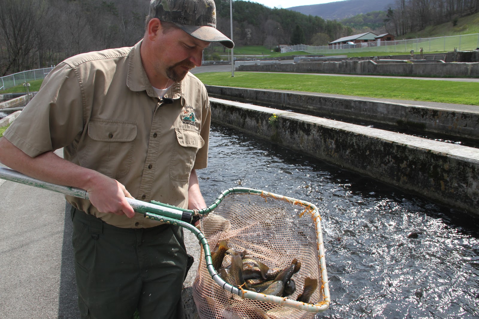 John Carlin's Virginia Paint Bank Trout Hatchery