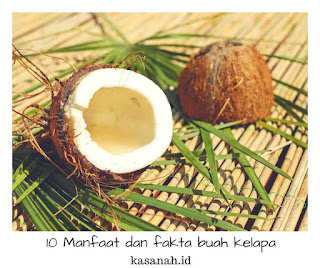 isi buah kelapa isi buah kelapa