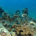 Associated Press: Sunken treasures in the coastal Albanian waters
