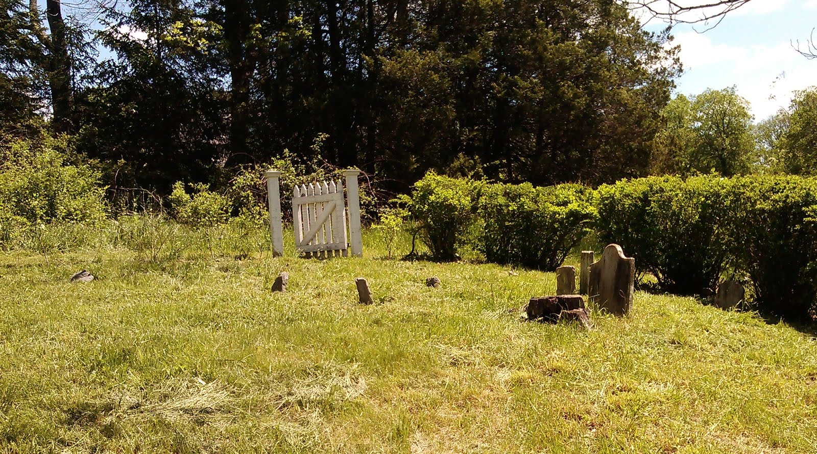 Hallowed Grounds & History Spring 2016 Cleanup at the Mead Family