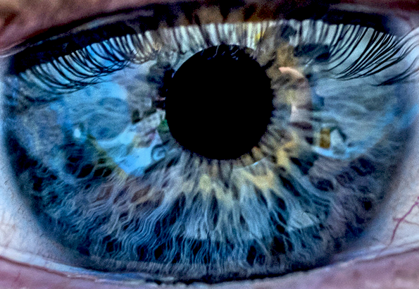 zoom sur l'oeil