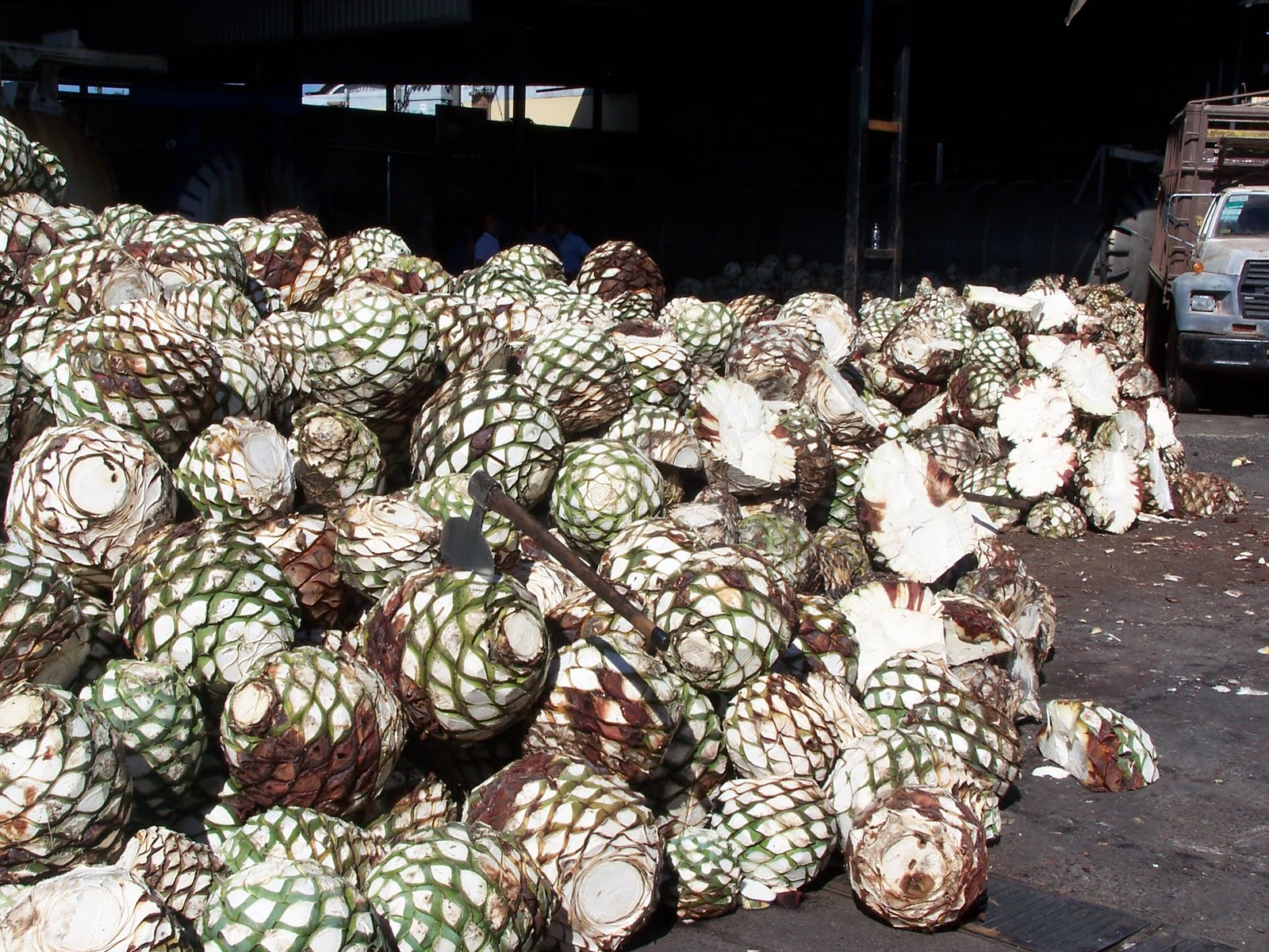 Liquor Digest Agave Spirits Tequila or Mezcal, it’s a growth market