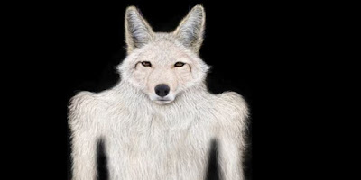 skinwalker real encounter