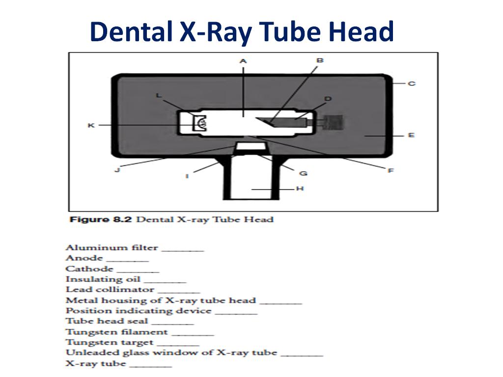 Dental X Ray Tube Head Diagram