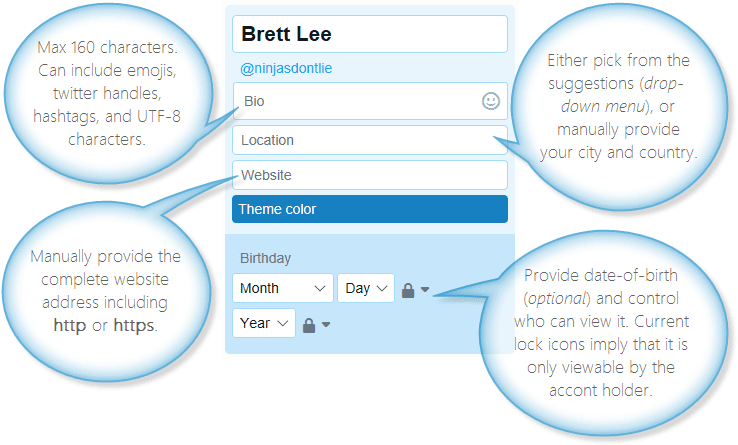 Twitter profile fields