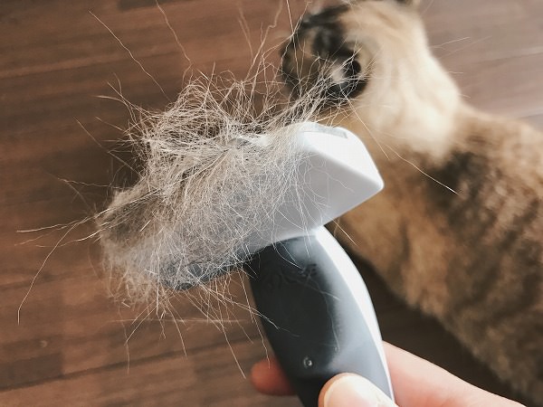 フーリーで取れた猫の毛