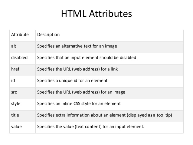 html attributes assignment