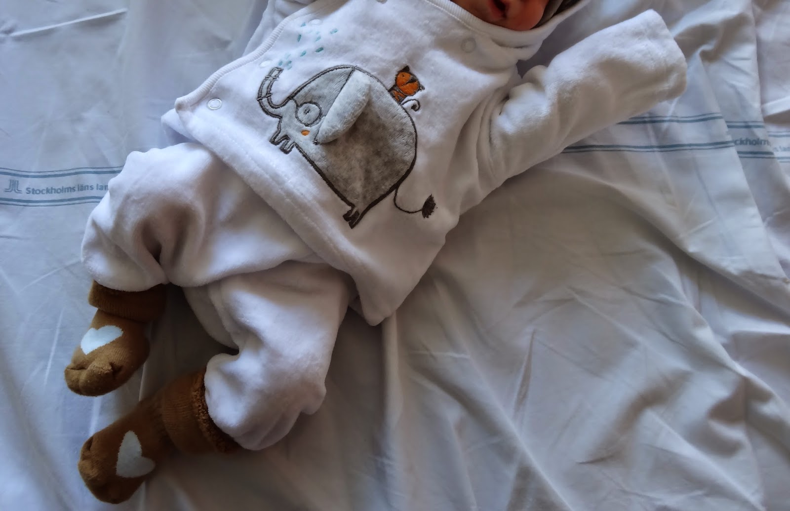 n%C3%A4r+smilla+kom+till+v%C3%A4rlden+(5) - När Smilla kom till världen