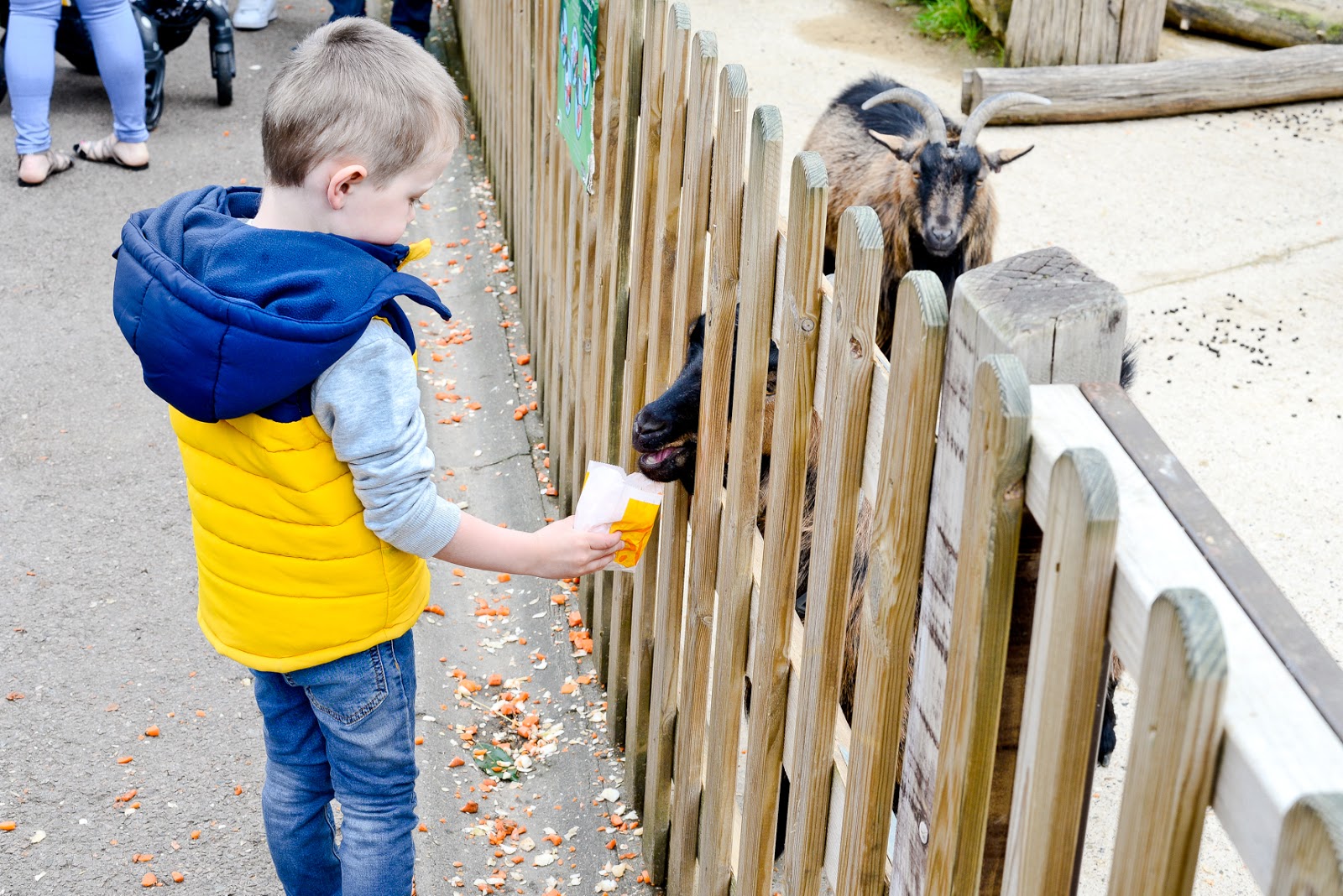paradise wildlife park,