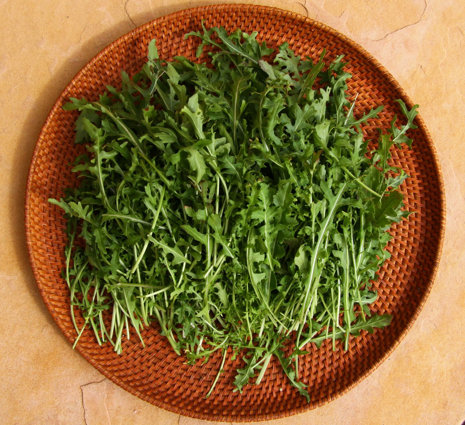 Cress, Dutch Broadleaf (Organic) - Adaptive Seeds