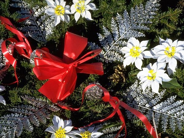 Some tips you have in fantastic Christmas Tree