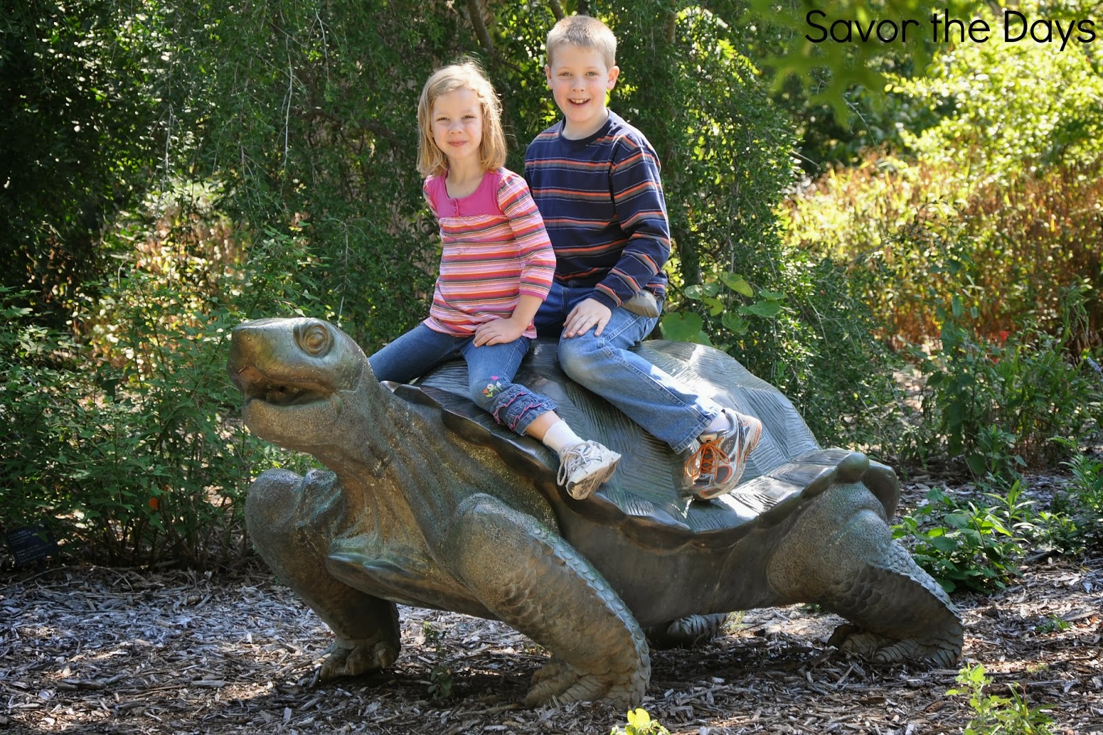 heard museum dinosaurs