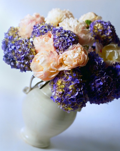 vase blanc avec des fleurs