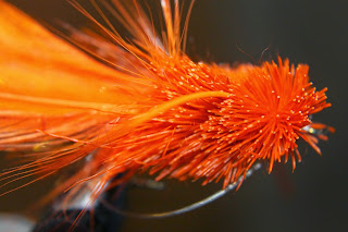 The Orange Bass Popper