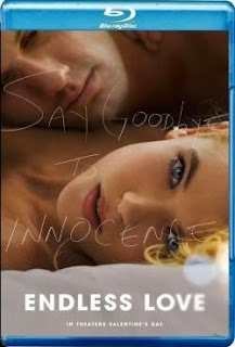 Download Endless Love 2014 720p BluRay x264 - YIFY
