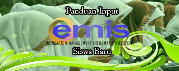 Panduan Resmi Input Data Emis Madrasah MI MTs dan MA