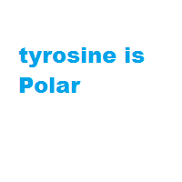 tyrosine is Polar tyrosine is Polar