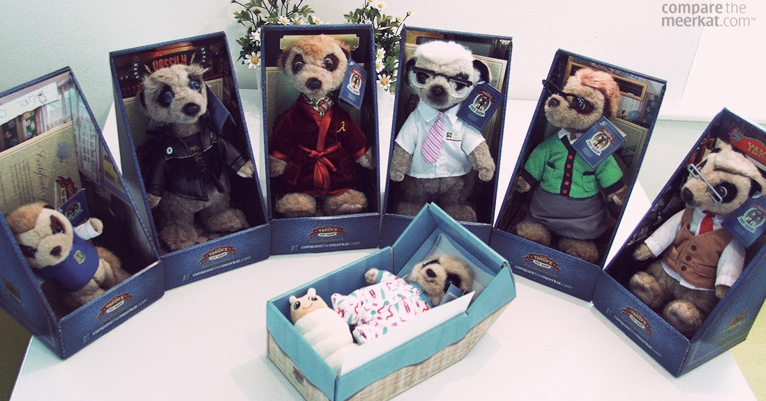 compare the meerkat teddy