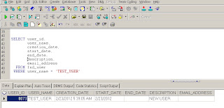 Oracle Apps Technical Concepts: Creating User in R12 Oracle Apps using ...