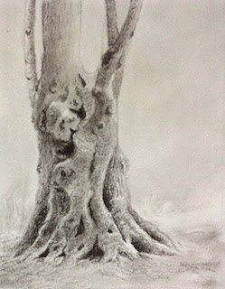 step 3, creating a charcoal sketching of a tree by Manju Panchal