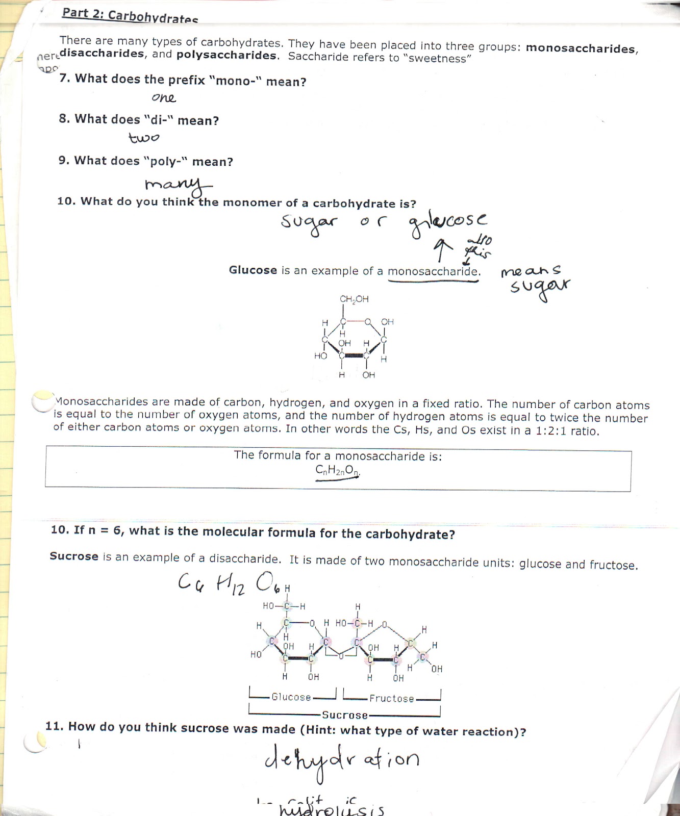 Molecules Of Life Worksheet - Ivuyteq