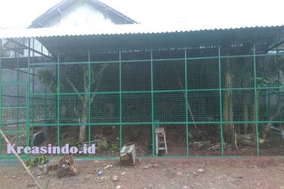 Repeat Order pesanan Kandang untuk Burung Merak Bu Liza di Subang Jawa Barat