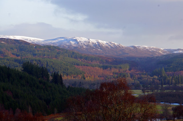Eagle Brae Log Cabins Scottish Highlands Scotland Eagle Brae Log Cabins Scottish Highlands Scotland
