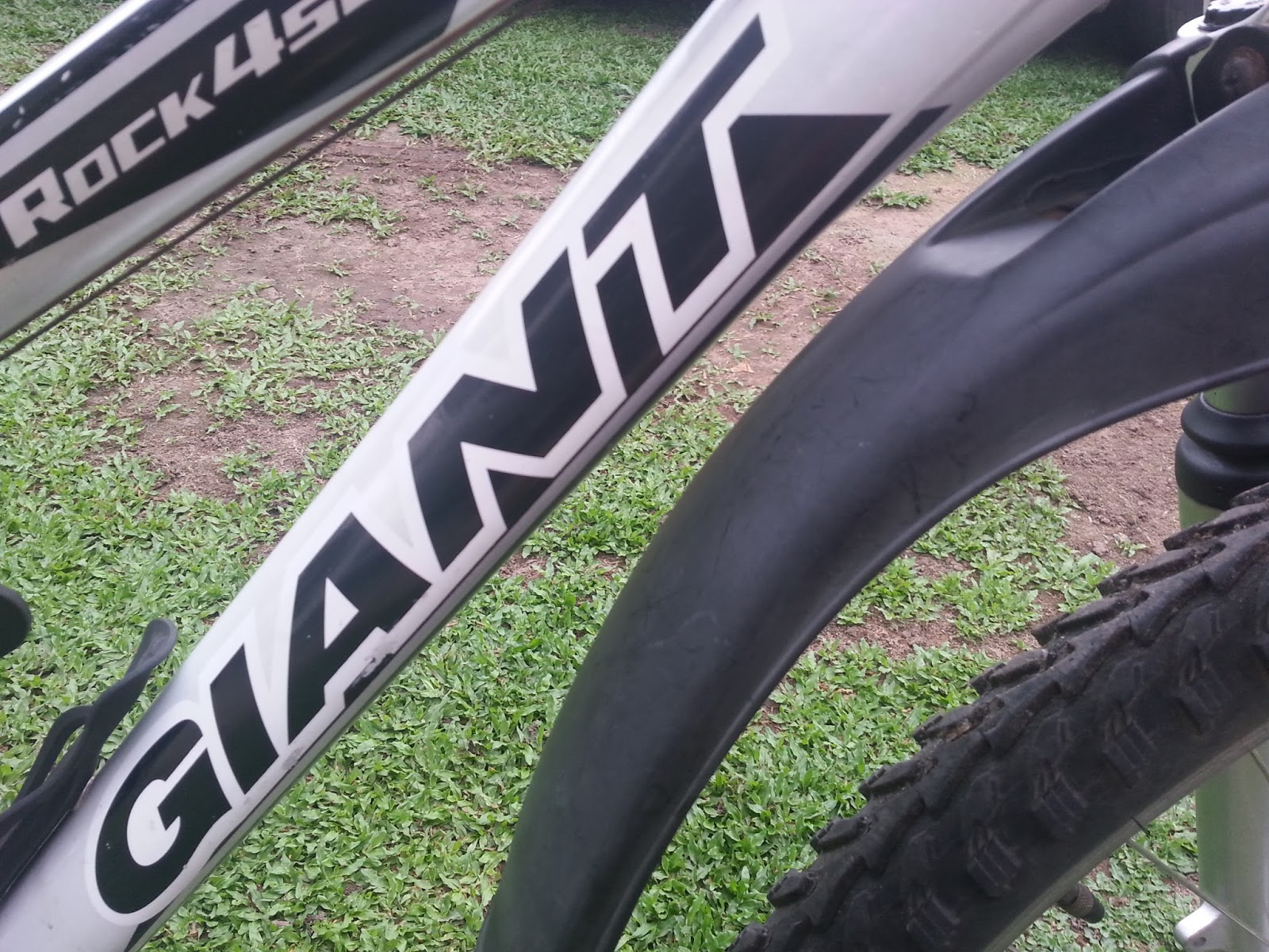 giant rock 4500 price