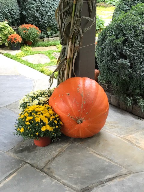 Highlands Country Club Agronomy: Fall Decorations...