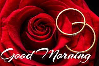 good morning with rose good morning with rose