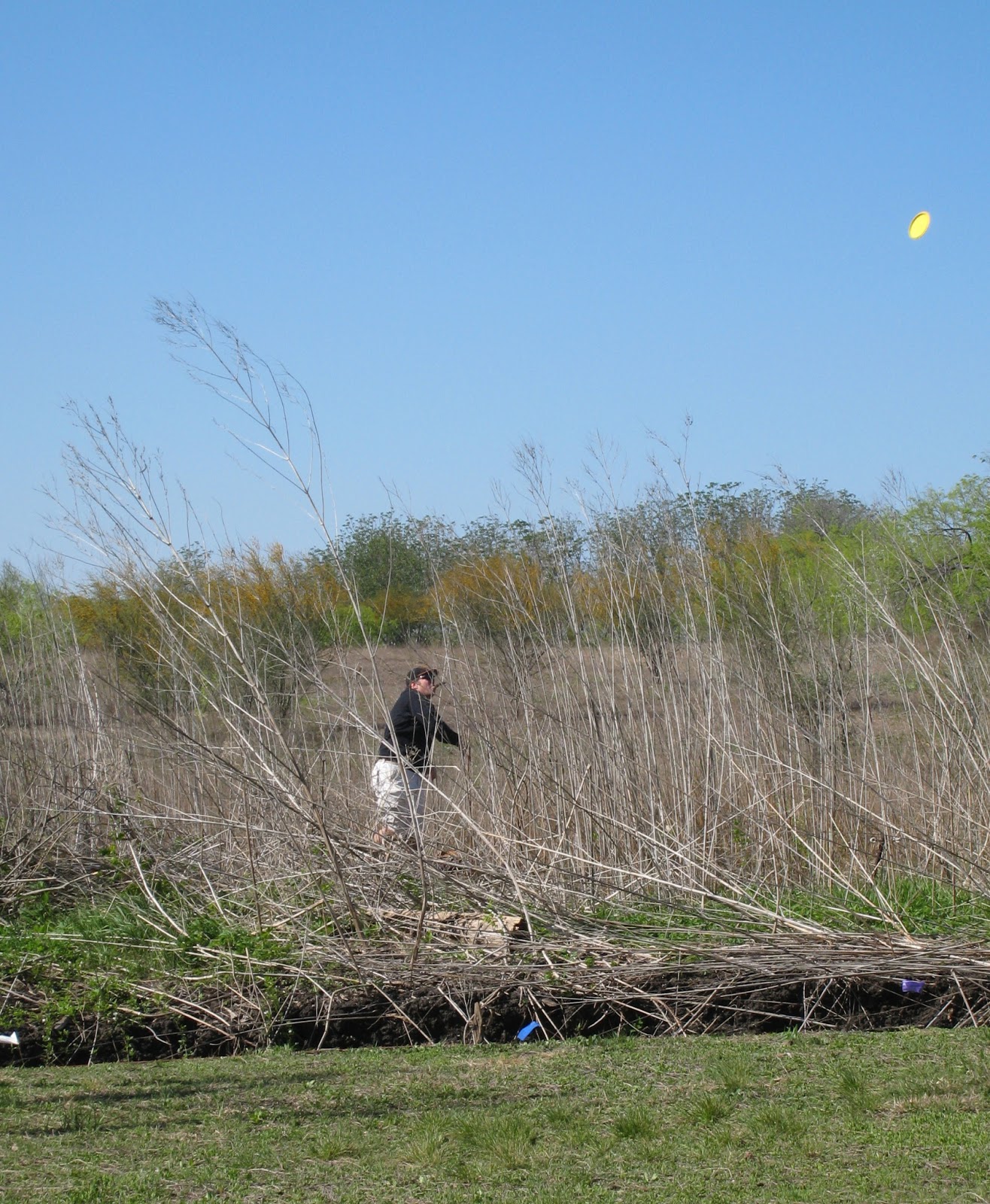Disc Golf Journal MetCenter Disc Golf Windy Day