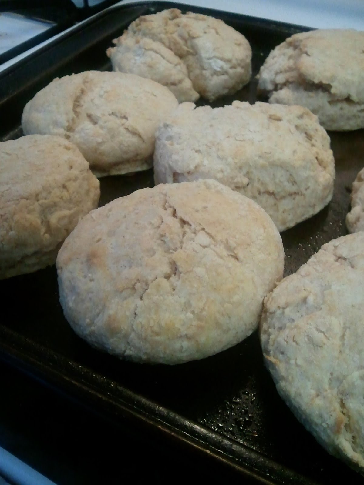 Provident Plenty Regular Biscuits (rolled out!)