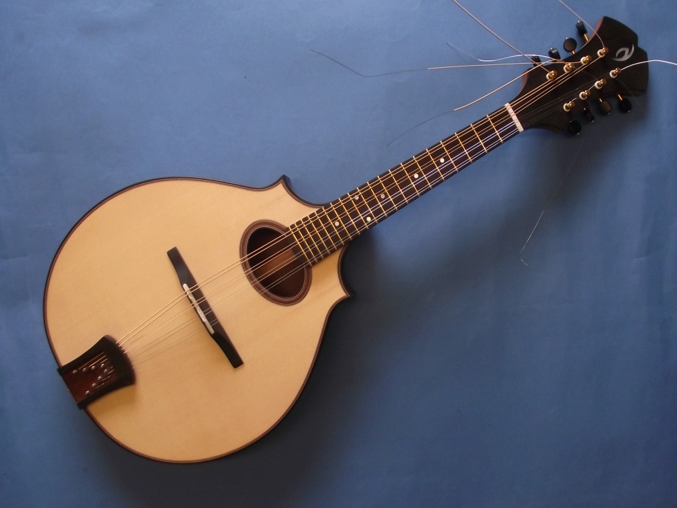 A Luthier's Blog Mandolins progressing.........
