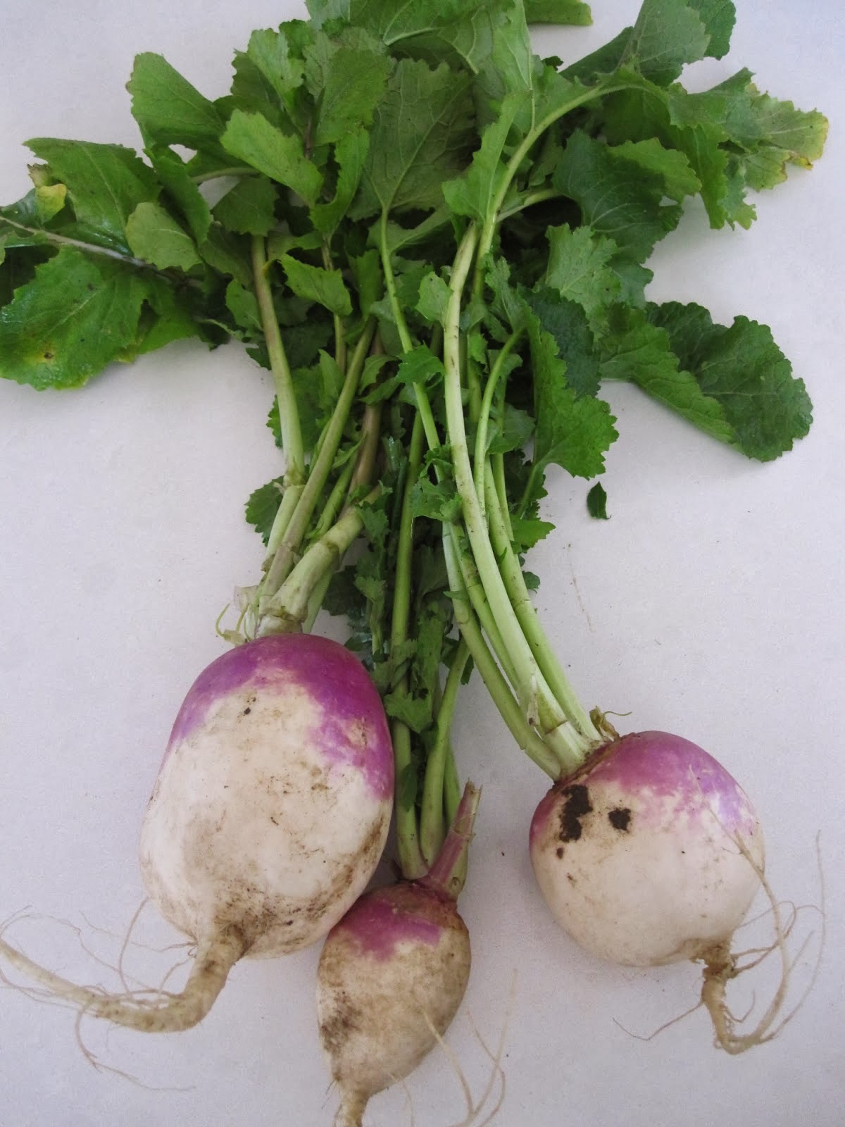 Southern Cooking: Turnip Greens Stew